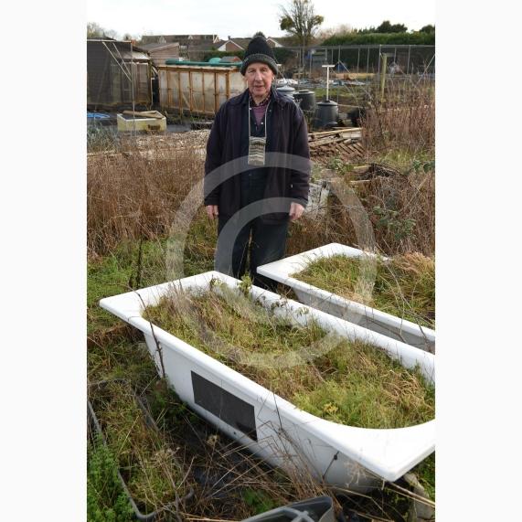 Byran Staples at the Breadcroft Road Allotments. He's concerned that the allotment space is being left to fall into disrepair despite the waiting list. Breadcroft Road, Maidenhead