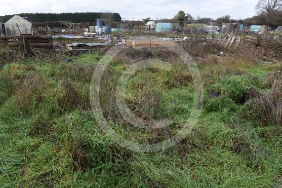 Byran Staples at the Breadcroft Road Allotments. He's concerned that the allotment space is being left to fall into disrepair despite the waiting list. Breadcroft Road, Maidenhead
