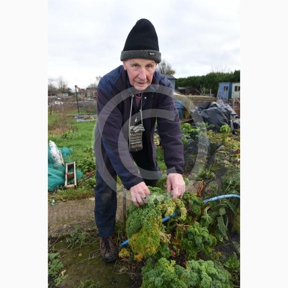 Byran Staples at the Breadcroft Road Allotments. He's concerned that the allotment space is being left to fall into disrepair despite the waiting list. Breadcroft Road, Maidenhead