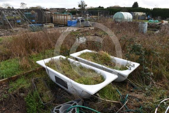 Byran Staples at the Breadcroft Road Allotments. He's concerned that the allotment space is being left to fall into disrepair despite the waiting list. Breadcroft Road, Maidenhead