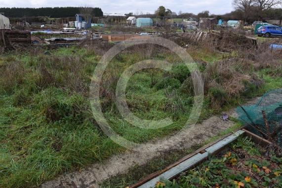 Byran Staples at the Breadcroft Road Allotments. He's concerned that the allotment space is being left to fall into disrepair despite the waiting list. Breadcroft Road, Maidenhead