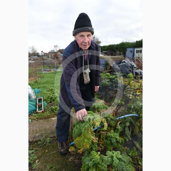 Byran Staples at the Breadcroft Road Allotments. He's concerned that the allotment space is being left to fall into disrepair despite the waiting list. Breadcroft Road, Maidenhead