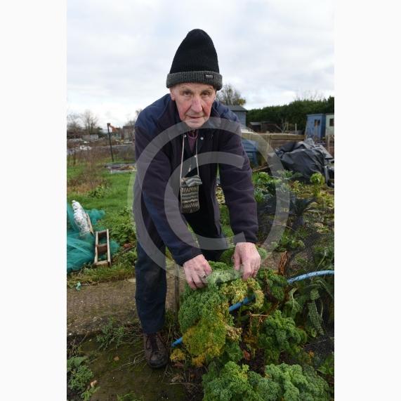Byran Staples at the Breadcroft Road Allotments. He's concerned that the allotment space is being left to fall into disrepair despite the waiting list. Breadcroft Road, Maidenhead