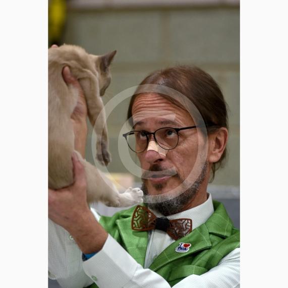 International Cat Show - Judged by The International Cat Association (TICA)Organised by kiTICAts Cat ClubThe Noble Whiskers GatheringWiindsor Leisure Centre7.2.26Photos by Ian Longthorne Photography