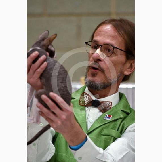 International Cat Show - Judged by The International Cat Association (TICA)Organised by kiTICAts Cat ClubThe Noble Whiskers GatheringWiindsor Leisure Centre7.2.26Photos by Ian Longthorne Photography