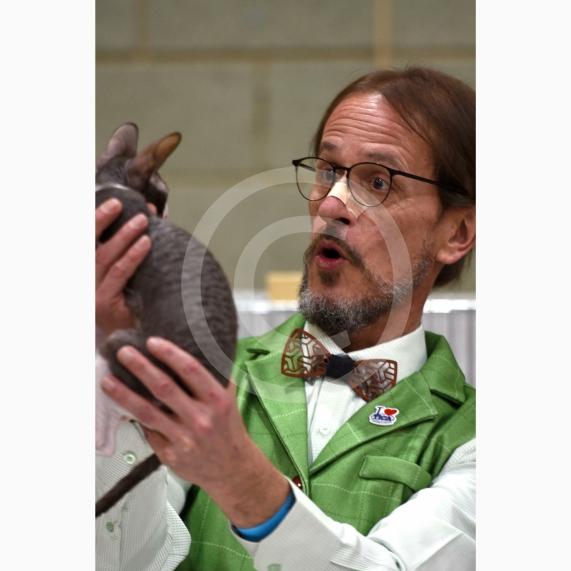 International Cat Show - Judged by The International Cat Association (TICA)Organised by kiTICAts Cat ClubThe Noble Whiskers GatheringWiindsor Leisure Centre7.2.26Photos by Ian Longthorne Photography