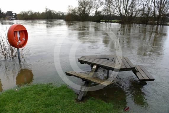 Flood photos - Wargrave 10.2.26