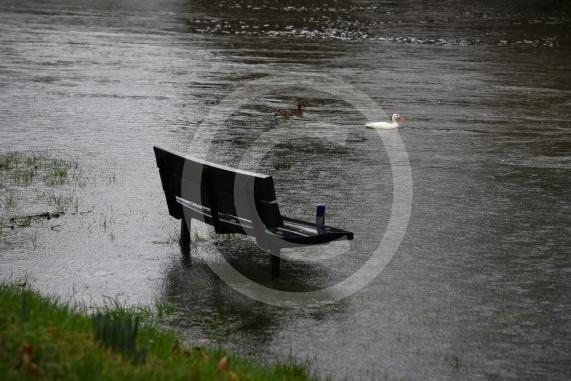 Flood photos - Wargrave 10.2.26
