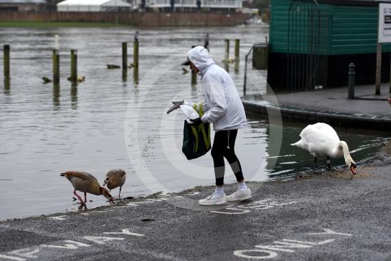 Flood photos - Henley10.2.26