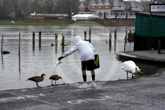 Flood photos - Henley10.2.26