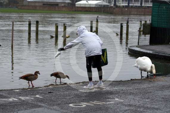 Flood photos - Henley10.2.26