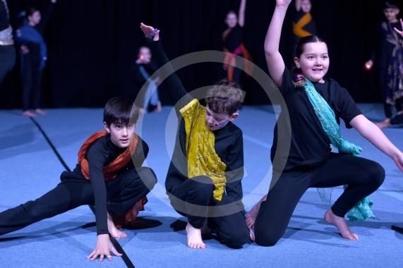 Primary Dance Festival21 schools &ndash; 850 childrenBaylis Theatre, Braywick Leisure Centre, Maidenhead
