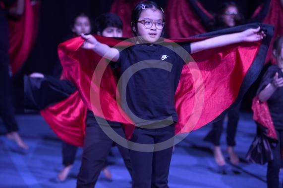 Primary Dance Festival21 schools &ndash; 850 childrenBaylis Theatre, Braywick Leisure Centre, Maidenhead