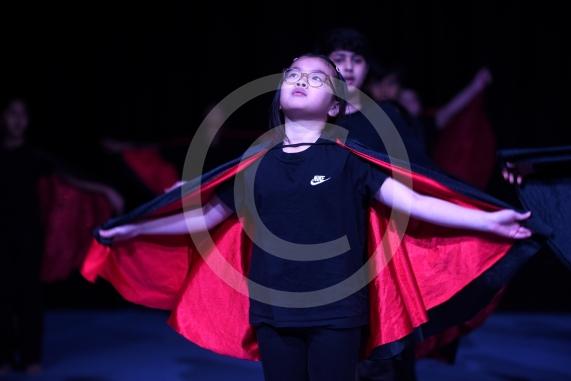 Primary Dance Festival21 schools &ndash; 850 childrenBaylis Theatre, Braywick Leisure Centre, Maidenhead