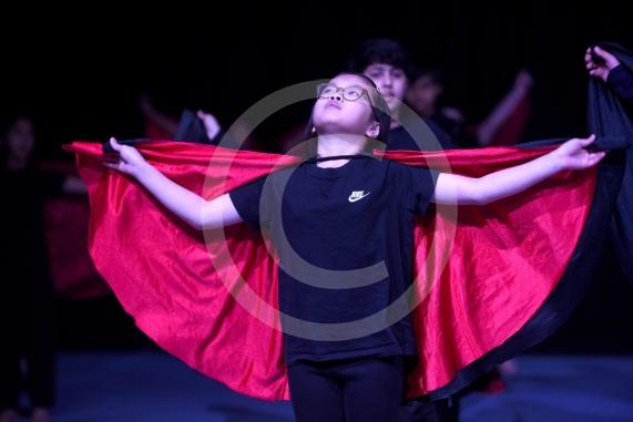 Primary Dance Festival21 schools &ndash; 850 childrenBaylis Theatre, Braywick Leisure Centre, Maidenhead