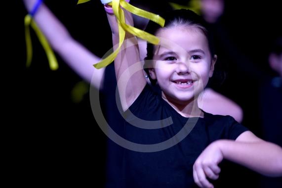 Primary Dance Festival21 schools &ndash; 850 childrenBaylis Theatre, Braywick Leisure Centre, Maidenhead
