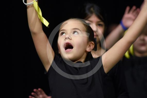 Primary Dance Festival21 schools &ndash; 850 childrenBaylis Theatre, Braywick Leisure Centre, Maidenhead