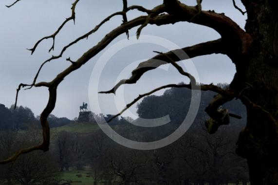The Big PictureThe Long Walk, Windsor -  Flooded Reflection