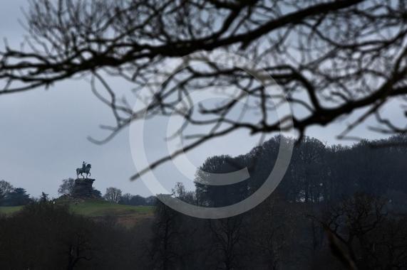 The Big PictureThe Long Walk, Windsor -  Flooded Reflection