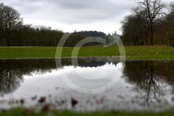 The Big PictureThe Long Walk, Windsor -  Flooded Reflection