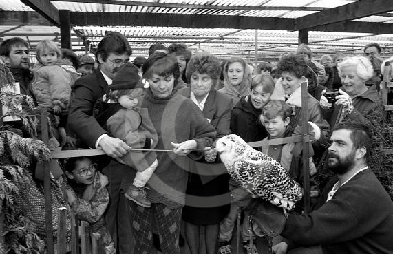 Remember When, Maidenhead Advertiser