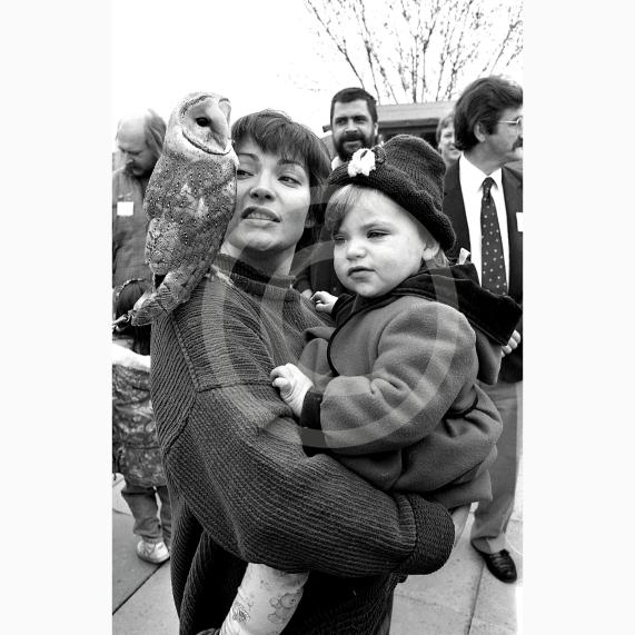 Remember When, Maidenhead Advertiser