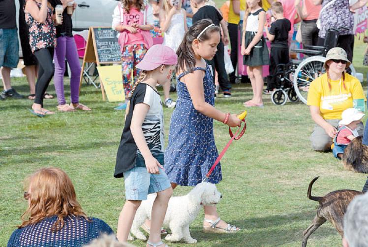 Fun for the family at annual Larchfield Festival