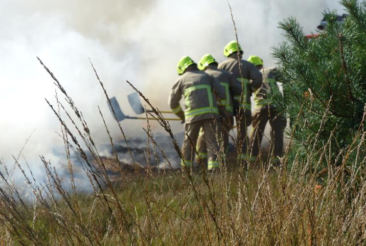 Berkshire firefighters warn gardeners over  weed killing method that can ‘easily ignite’ surroundings