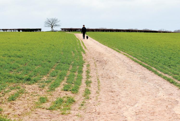 Viewpoint: 'Green and pleasant land' facing calamity