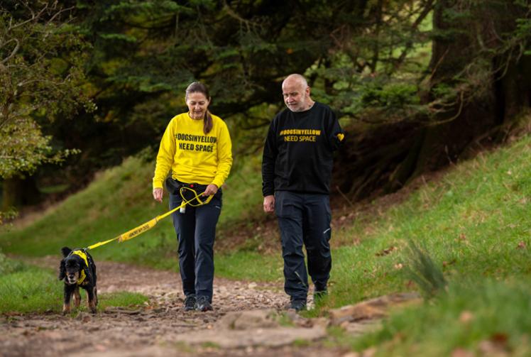 Dog owner hosts first-ever walk for anxious dogs at Cliveden Estate
