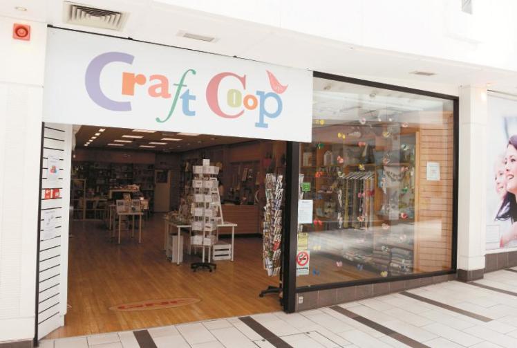 Housebound crafters take on Craft Coop challenge Photo 1 of 1