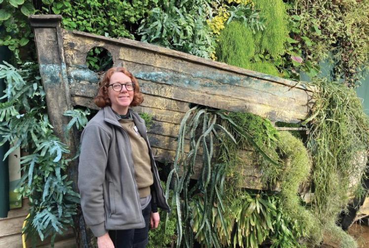 These easy-care houseplants don't need much water